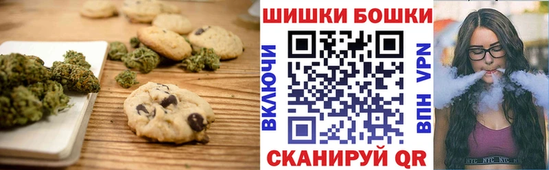 дарнет шоп  Краснослободск  Cannafood марихуана 