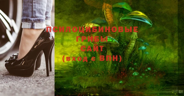 PSILOCYBIN Арсеньев